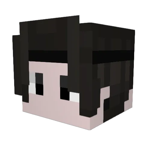 Luizhito Minecraft avatar head, 3D render
