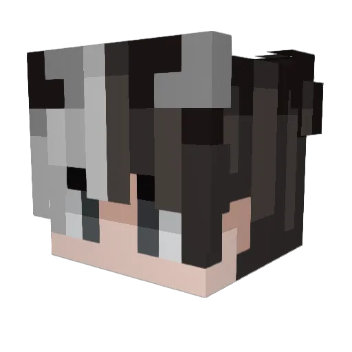 LujankoP Minecraft avatar head, 3D render
