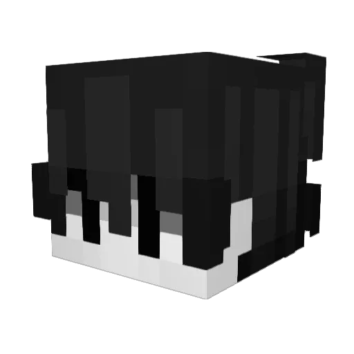 Luk3s_198 Minecraft avatar head, 3D render