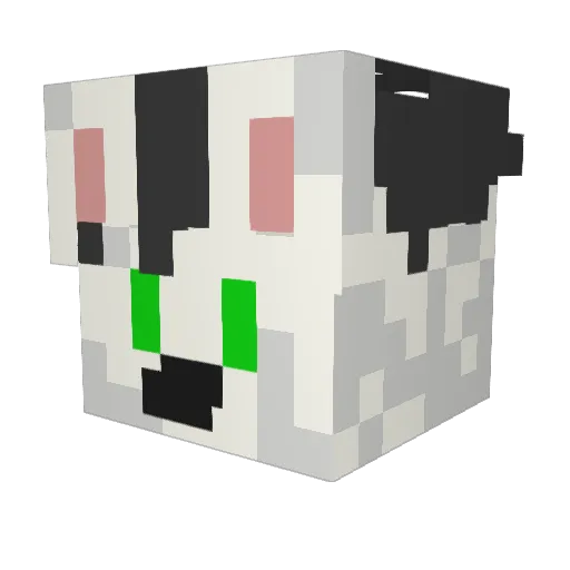LukaBun Minecraft avatar head, 3D render