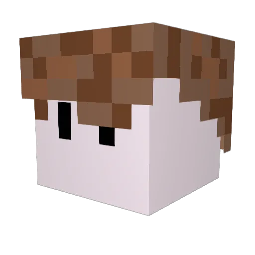 LukaMason Minecraft avatar head, 3D render