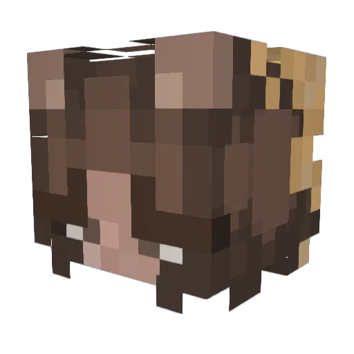 LukaPls Minecraft avatar head, 3D render
