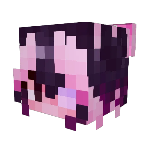 LukaSquiggly Minecraft avatar head, 3D render