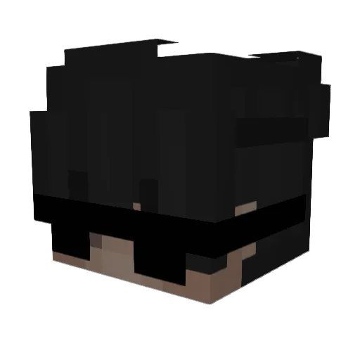 Lukaaaaaaaa Minecraft avatar head, 3D render