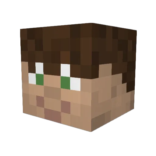 Lukaaaaaaaaaas Minecraft avatar head, 3D render