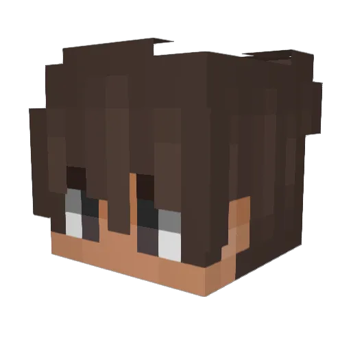 Lukas037 Minecraft avatar head, 3D render