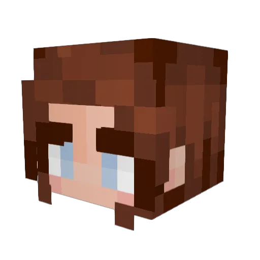 Lukas111111111 Minecraft avatar head, 3D render