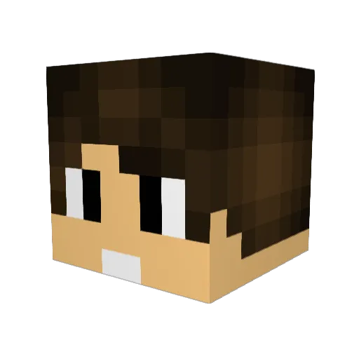 Lukas2nd Minecraft avatar head, 3D render