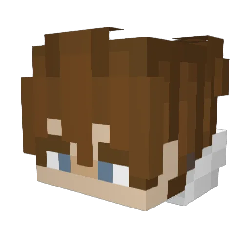 LukasAOG Minecraft avatar head, 3D render