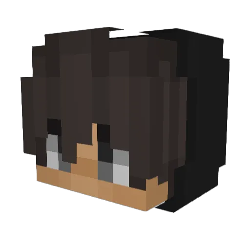 LukasL06 Minecraft avatar head, 3D render