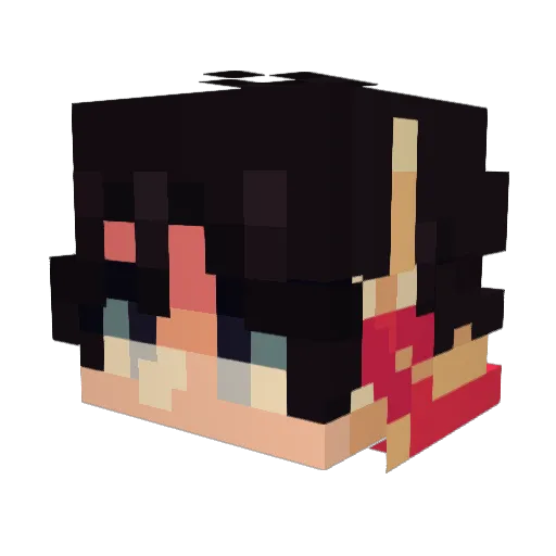 LukasPukas0 Minecraft avatar head, 3D render