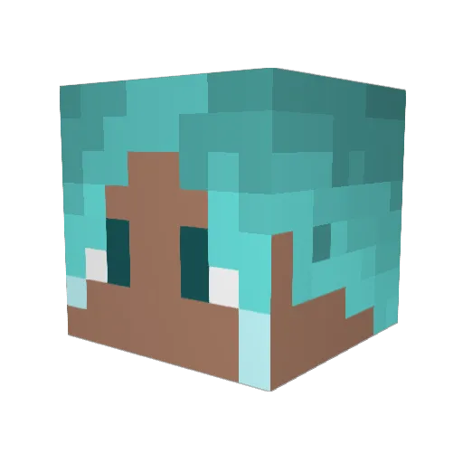 LukasSebastian Minecraft avatar head, 3D render