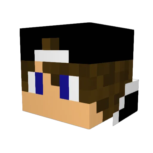 Lukas_385 Minecraft avatar head, 3D render