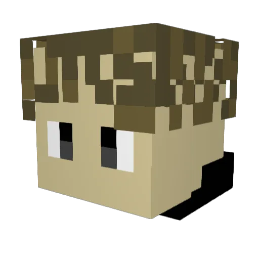Lukas_Flamsmc Minecraft avatar head, 3D render
