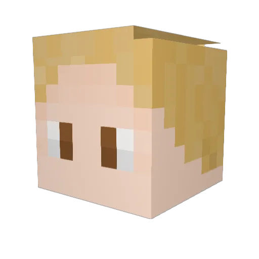 Lukas_Nowy Minecraft avatar head, 3D render