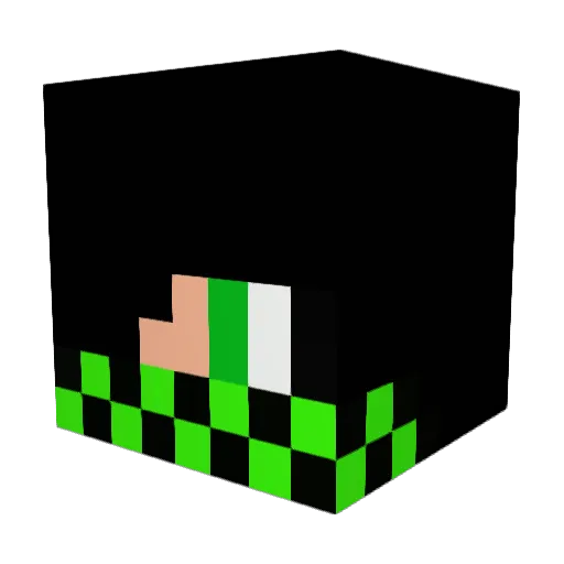 Lukas_Philipp Minecraft avatar head, 3D render