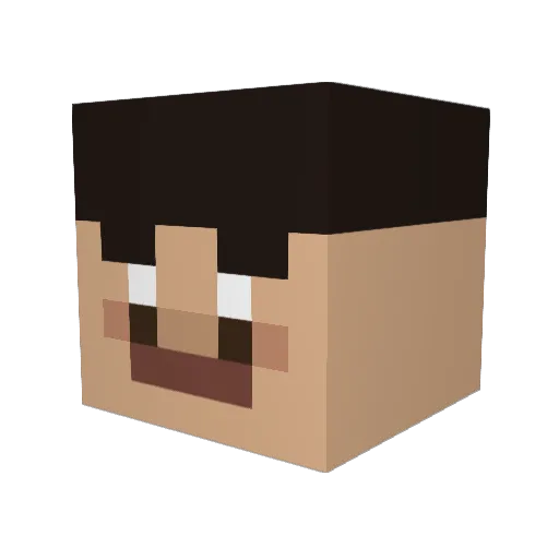 Lukas_TheGamer Minecraft avatar head, 3D render