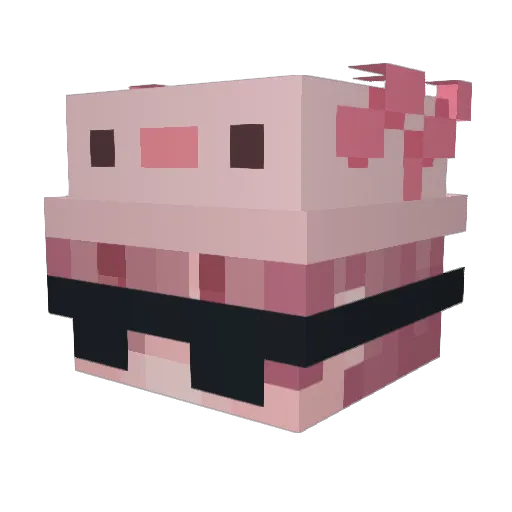 Lukas__YT Minecraft avatar head, 3D render