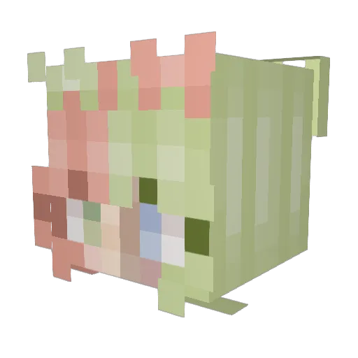 Lukas_fs Minecraft avatar head, 3D render