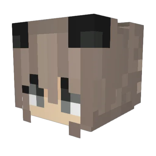 Lukas_hnf Minecraft avatar head, 3D render