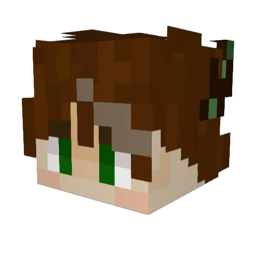 Lukasaschi Minecraft avatar head, 3D render