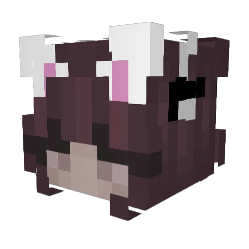 Lukasczhhh Minecraft avatar head, 3D render