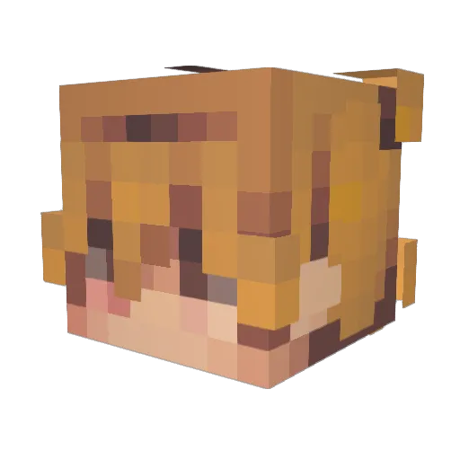 Lukasitoo Minecraft avatar head, 3D render