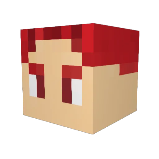 Lukasssyt Minecraft avatar head, 3D render
