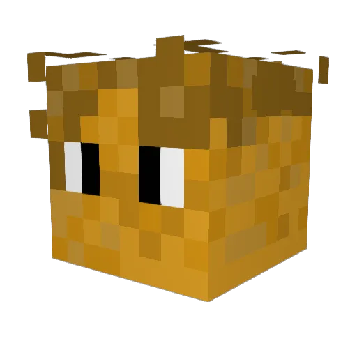 Lukasvalkyria Minecraft avatar head, 3D render