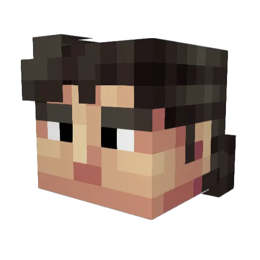 Lukasx025 Minecraft avatar head, 3D render