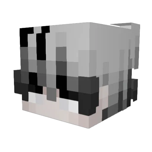 Lukasyno86 Minecraft avatar head, 3D render