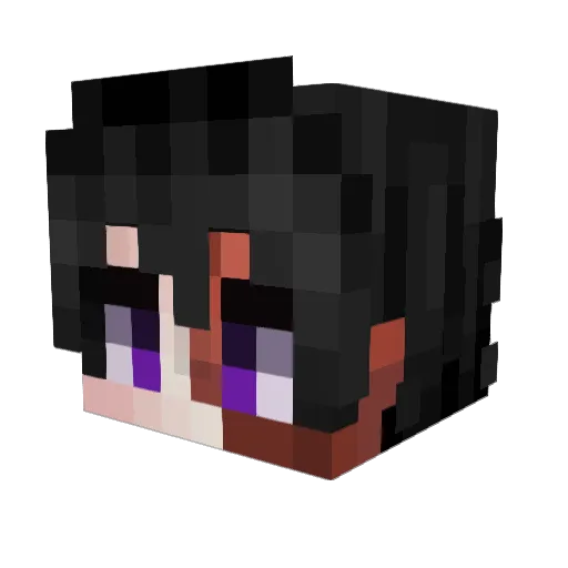 Lukaz21 Minecraft avatar head, 3D render