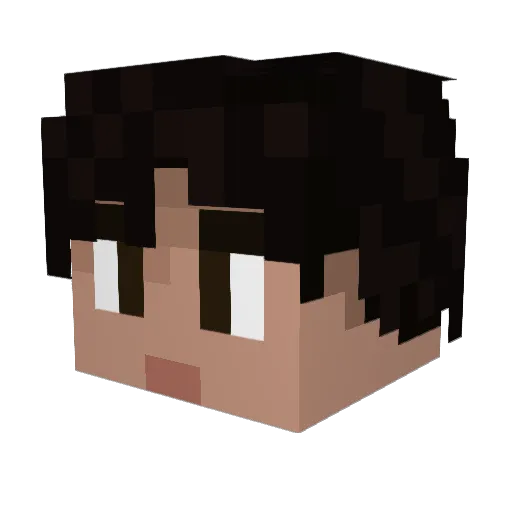 Lukaz401 Minecraft avatar head, 3D render