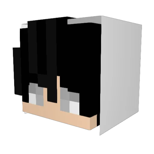 Luke1311 Minecraft avatar head, 3D render