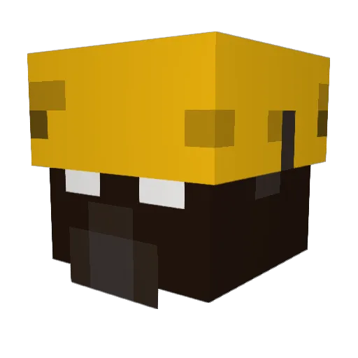 Luke3556 Minecraft avatar head, 3D render