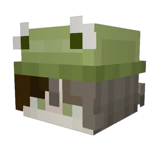LukeEilish Minecraft avatar head, 3D render