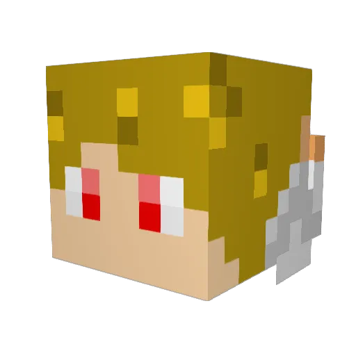 LukeSkyfighter1 Minecraft avatar head, 3D render