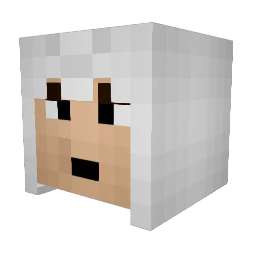 Luke_25042010 Minecraft avatar head, 3D render