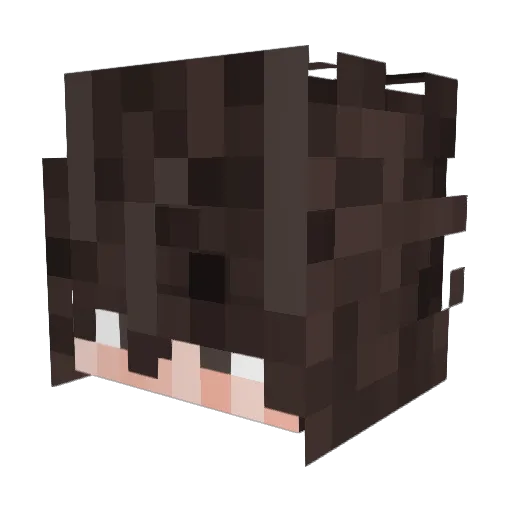 Lukee07 Minecraft avatar head, 3D render