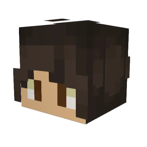 Lukemiester2009 Minecraft avatar head, 3D render