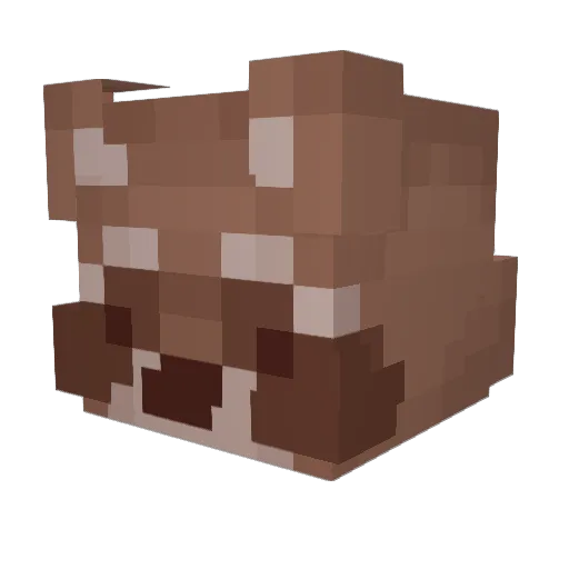 Lukeness Minecraft avatar head, 3D render