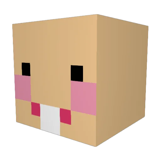 Lukepookie Minecraft avatar head, 3D render