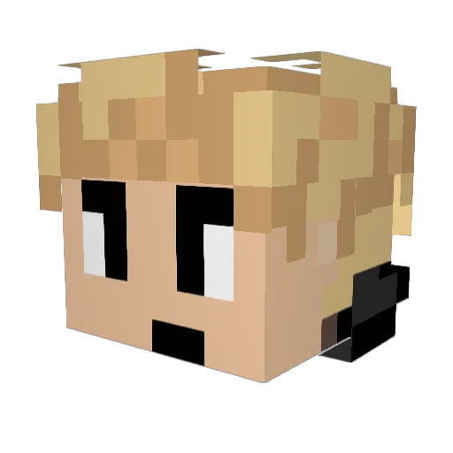 Lukerlezgo Minecraft avatar head, 3D render