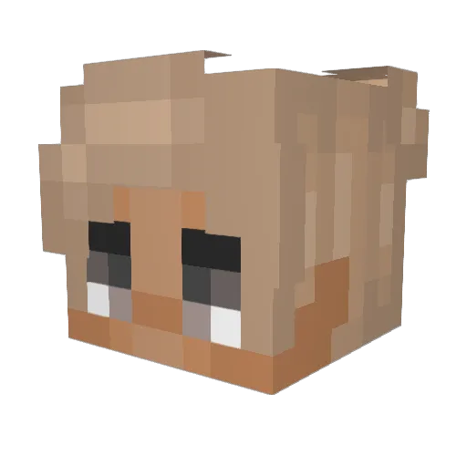 Lukes954 Minecraft avatar head, 3D render