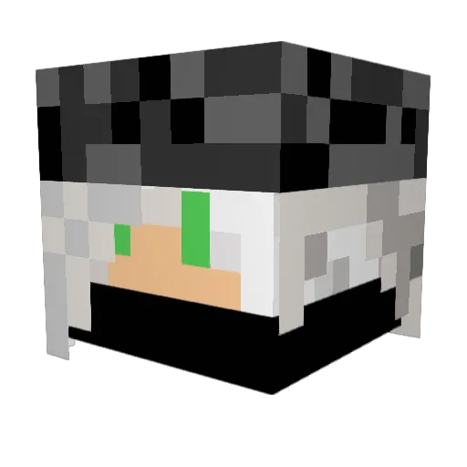 Lukey288 Minecraft avatar head, 3D render