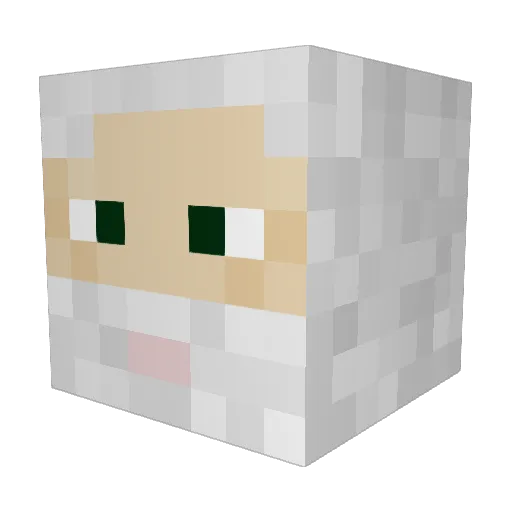 Lukeypoop Minecraft avatar head, 3D render
