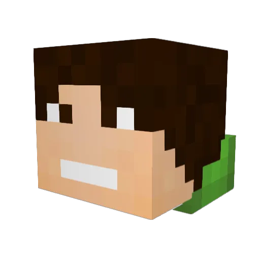 LukiPl7 Minecraft avatar head, 3D render