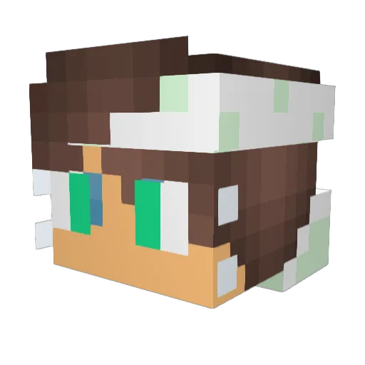 Lukibuki2005 Minecraft avatar head, 3D render