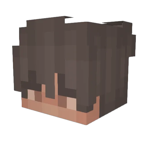 Lukie190 Minecraft avatar head, 3D render