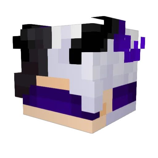 Lukinha11 Minecraft avatar head, 3D render
